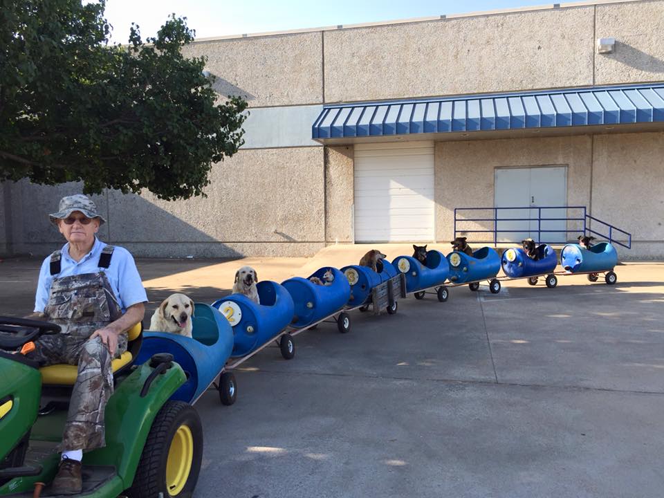 eugene with his dog train