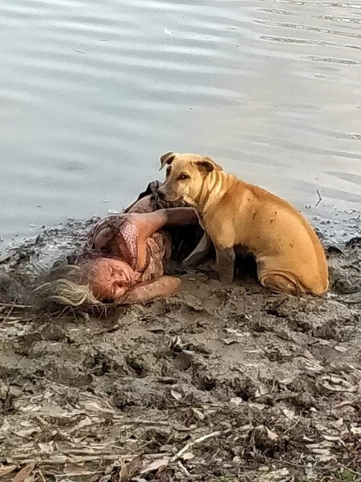 lying woman with her loyal dog