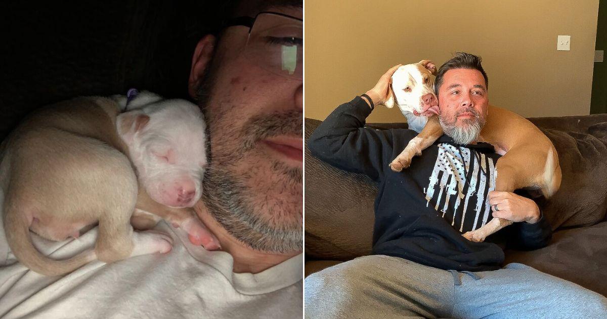 Big Pittie Still Naps on Dad's Shoulder Despite Her Size