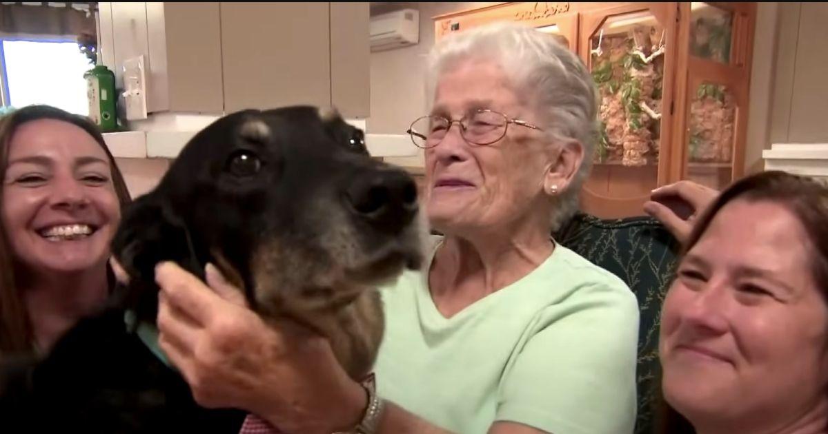 Dog Keeps Escaping Shelter To Comfort Nursing Home Residents