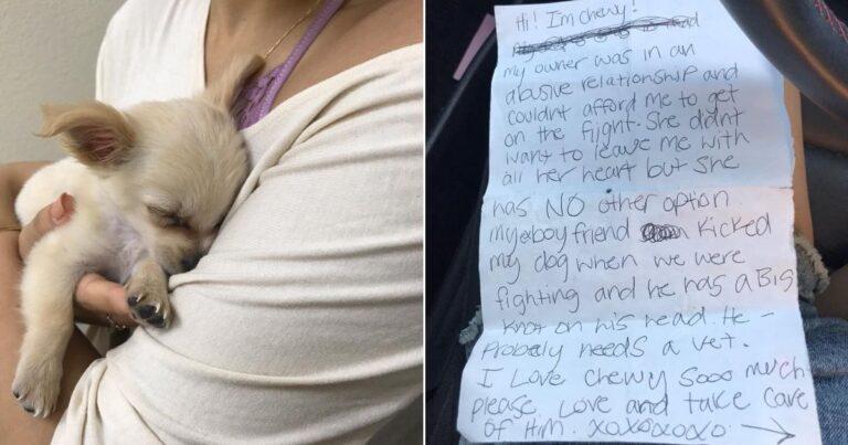 Heartbroken Owner Leaves Puppy And A Sad Note In Airport Restroom