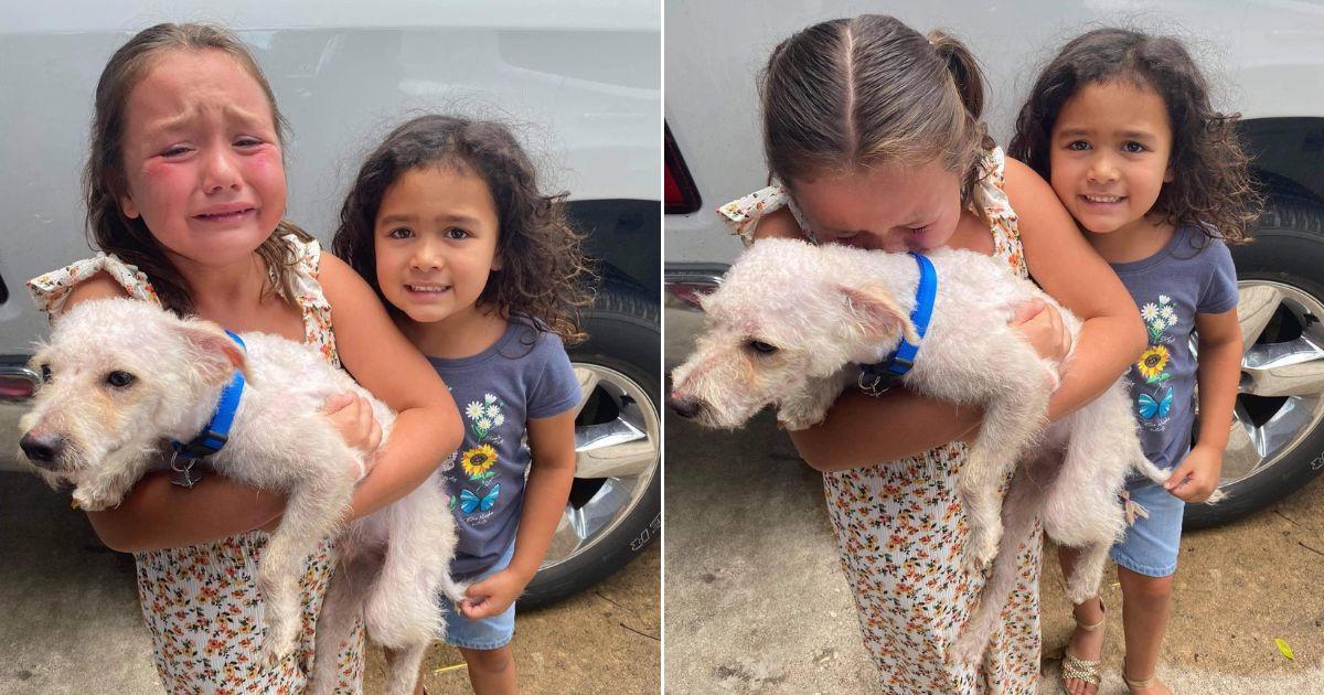 Joyful Tears Flow As Girl Reunites With Her Lost Dog After Two Months