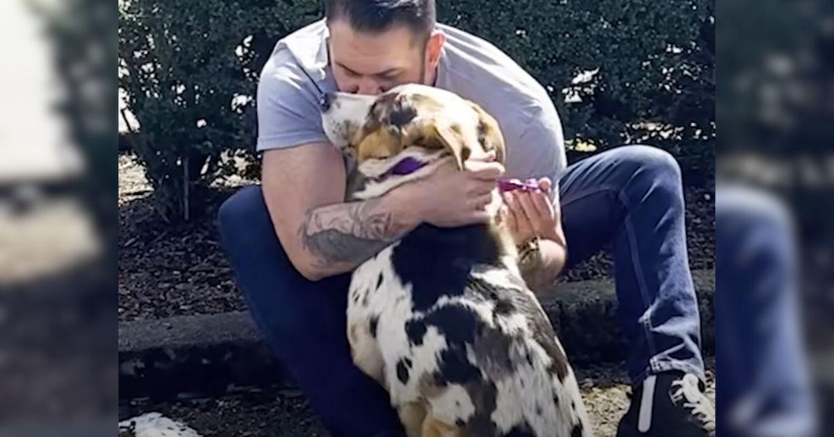 Scared Dog Finally Finds Peace And Safety In His New Dad's Arms