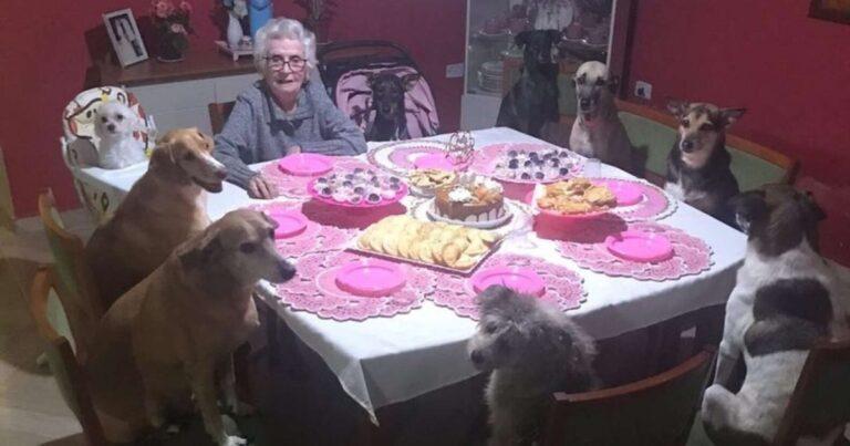 Ten Pups Make Grandma's 89th Birthday Unforgettable