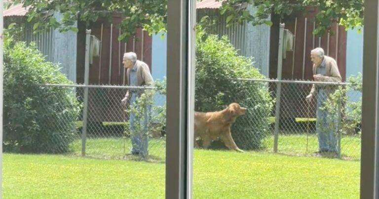 This 94-Year-Old Man Has The Cutest Routine With Neighbor's Dogs