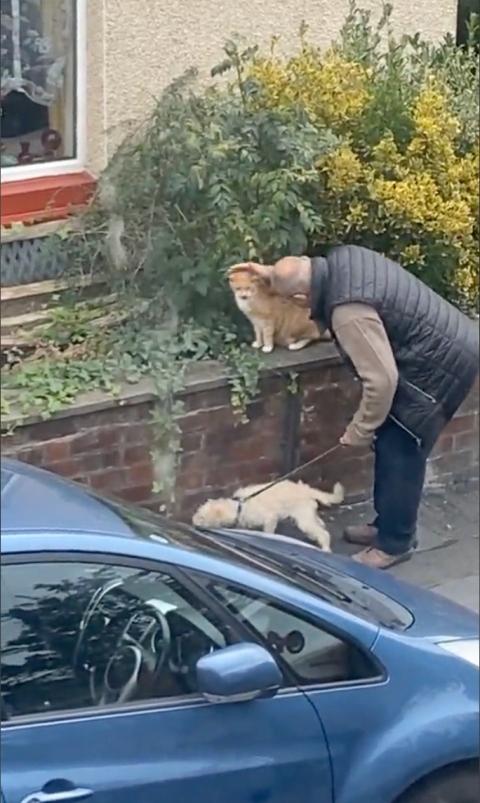 dog owner petting a cat in the street