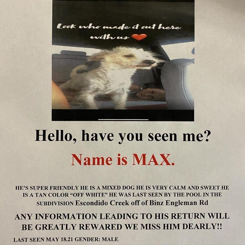 flyer about max