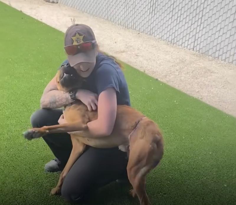 happy stray dog after being set free