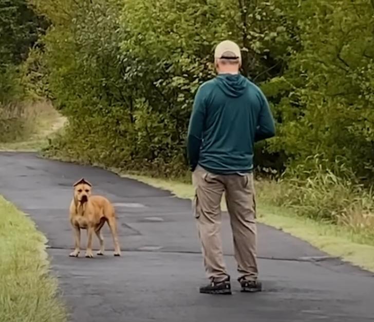 joe with the stray dog