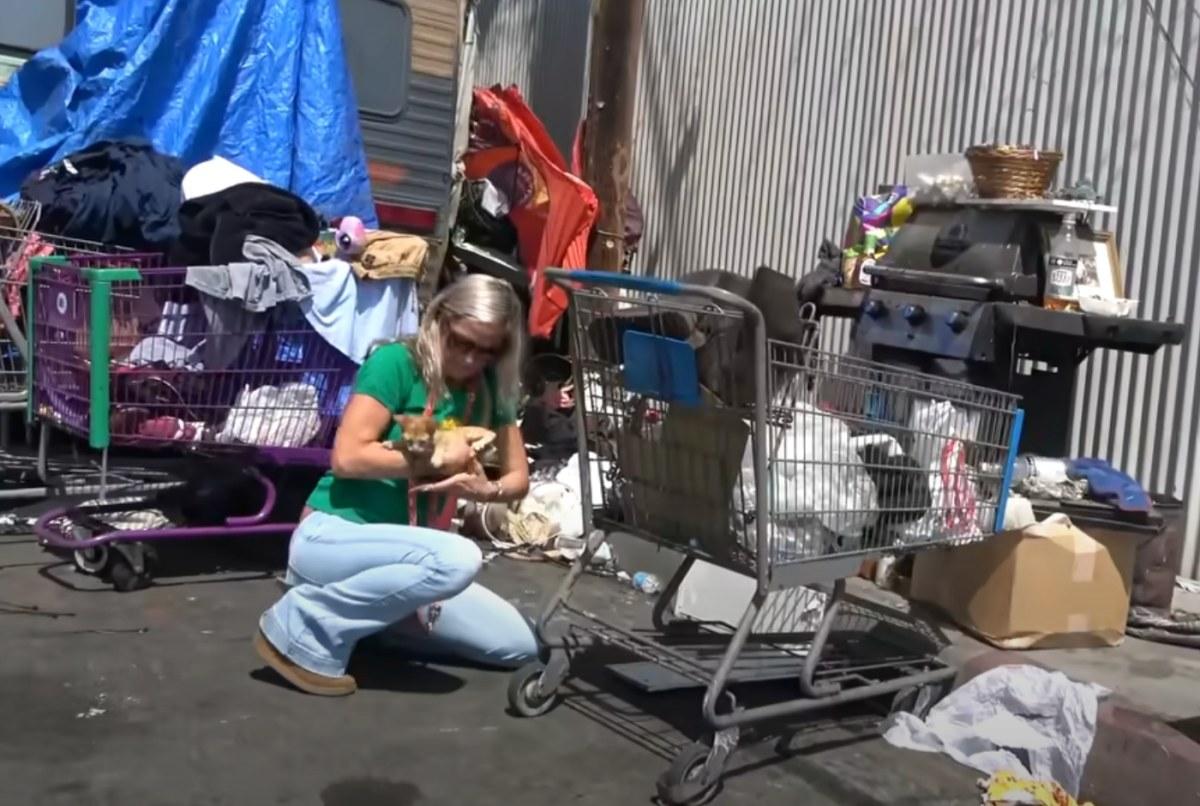 katie saving a kitten in the street