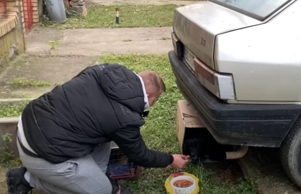 man feeding the dog under the car