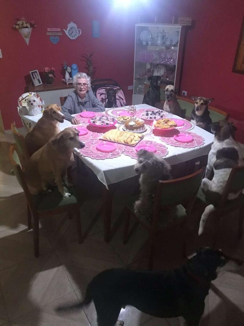 marias birthday party with her pups