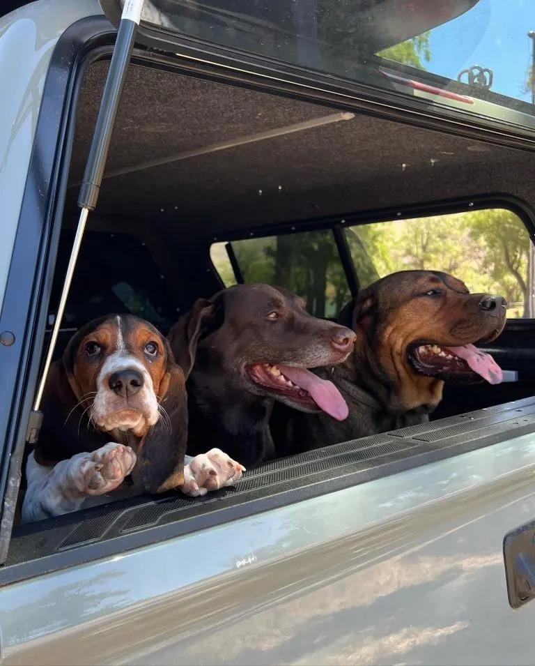 poppy with her buddies in a car