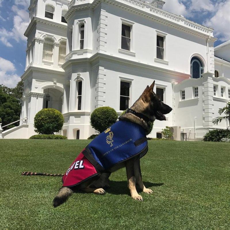 proud gavel at the governor house