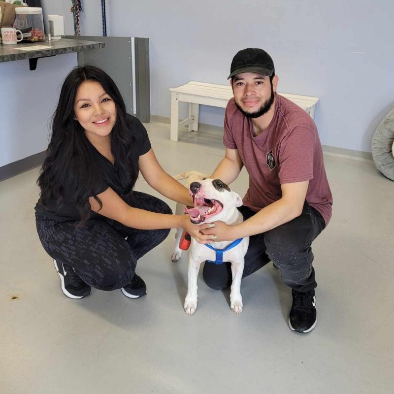 reunion with panda at the shelter