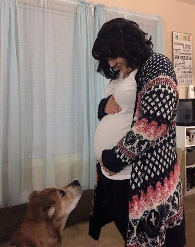 rocky with his pregnant momma