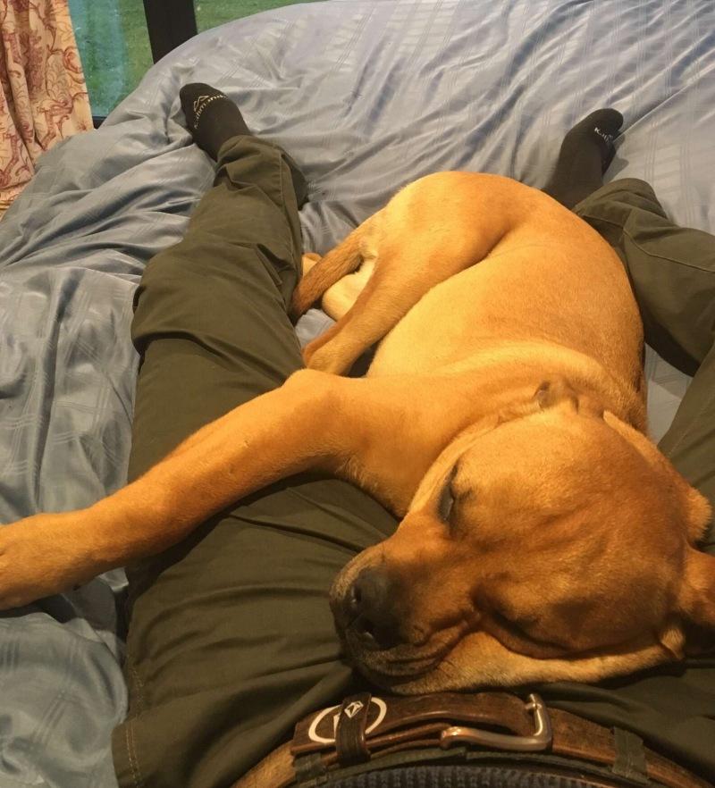 stanley cuddling in the couch with his dad