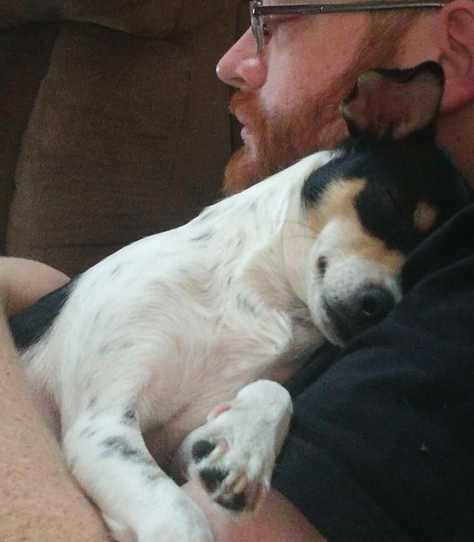 stella cuddling with new dad