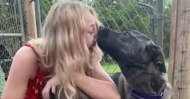 After Months Missing, Dog Escapes Euthanasia And Reunites With Her Mom