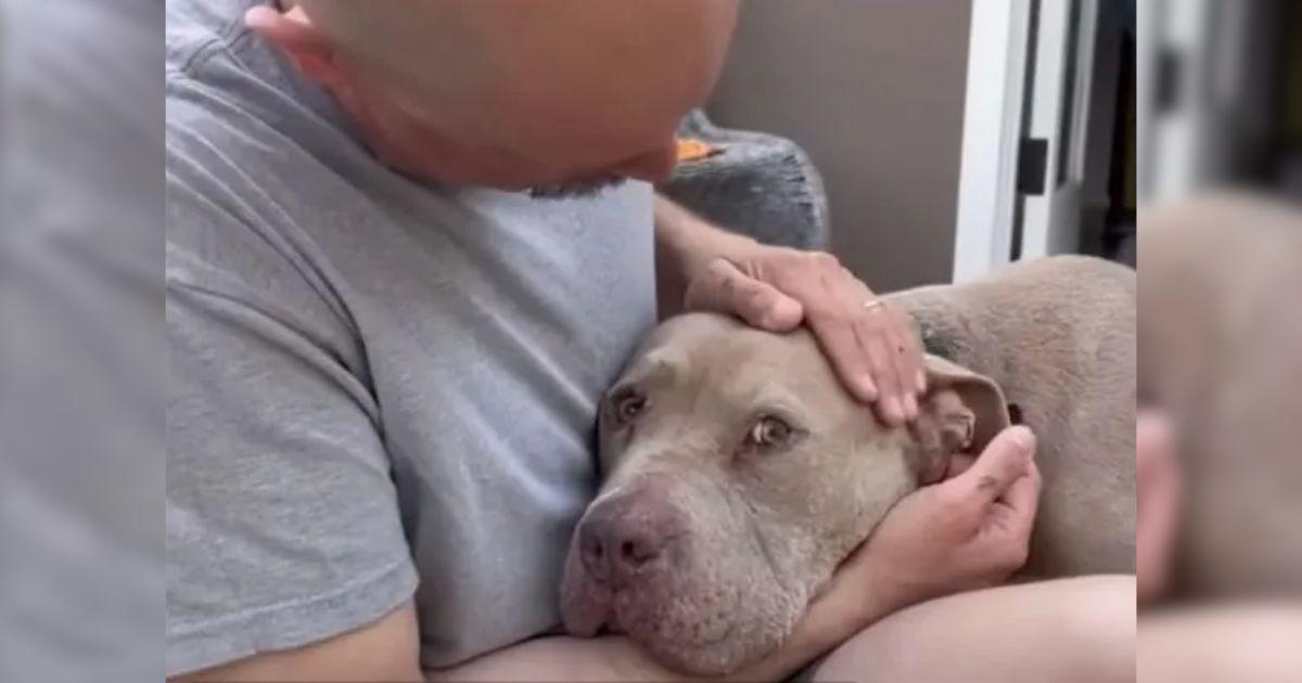 Dog Paralyzed By Fear Gets To Feel Love For The First Time