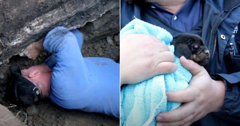 Heroic Officers Rescue Pup Trapped In A Pipe And Bring Him Back to His Mom