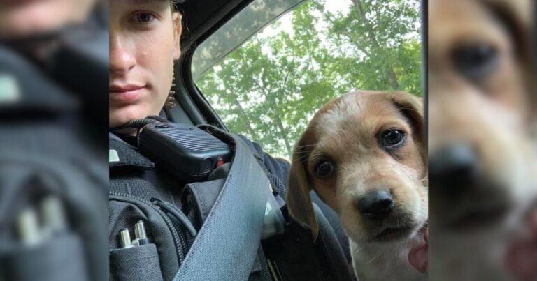 Police Officer Saves Puppy Left On The Streets And Adopts Him