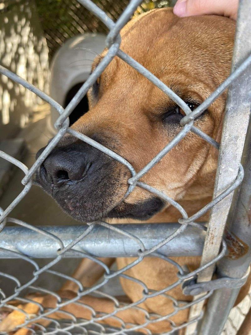 barney behind bars