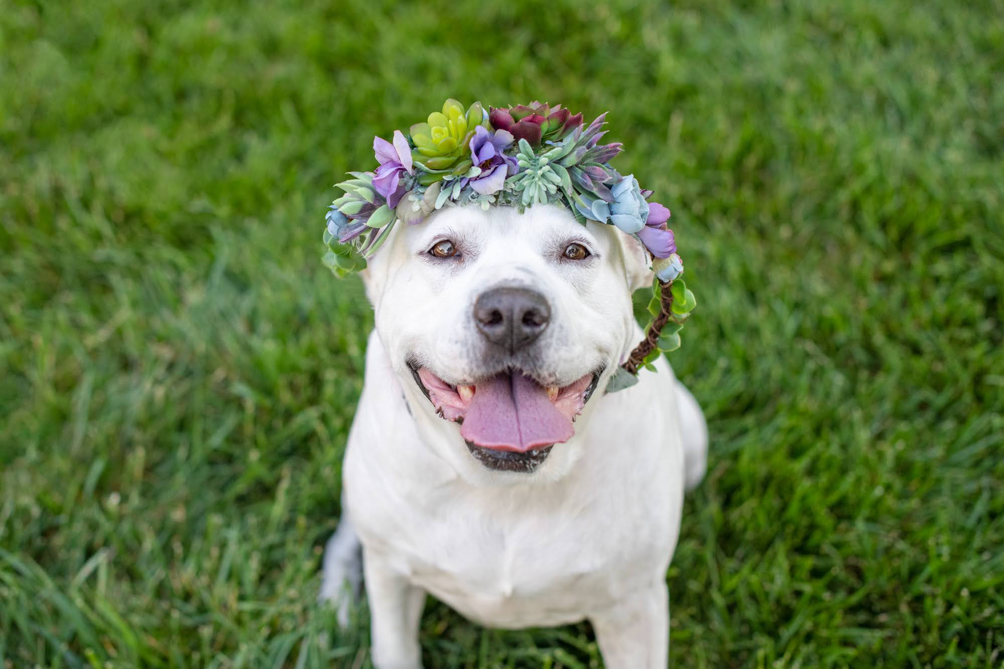 beautiful maggie with a flower crown