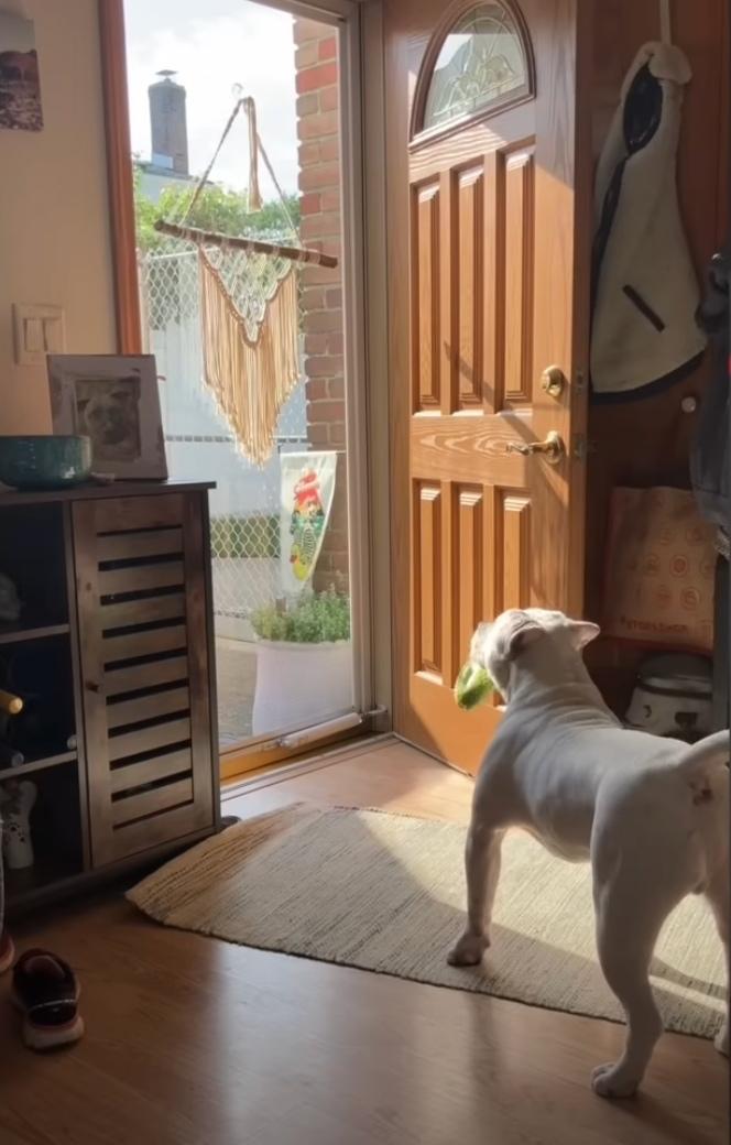 bing bong playing in his home