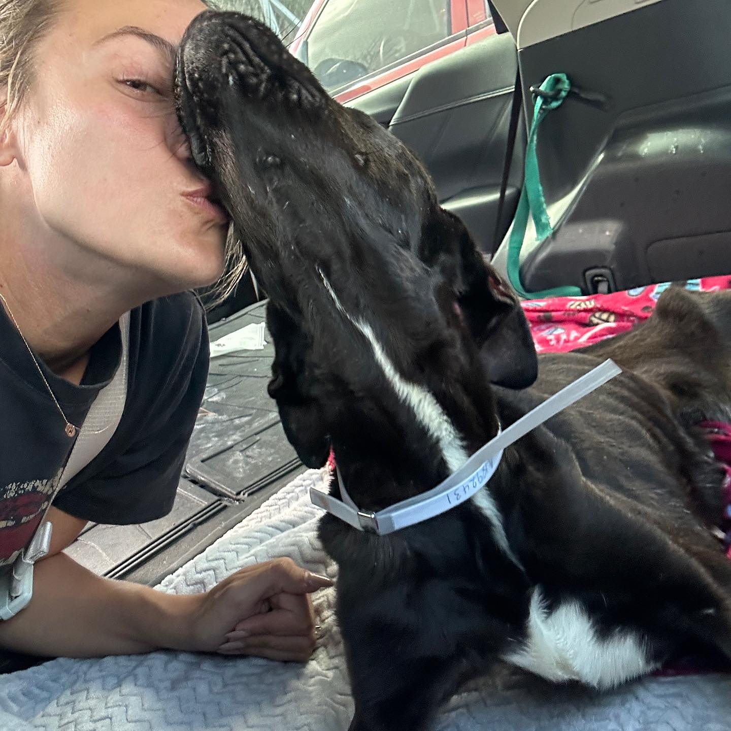 coral cuddling with his foster mom