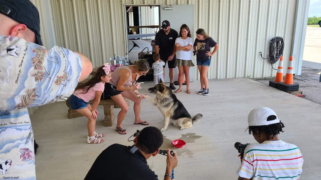 emotional reunion with sheba