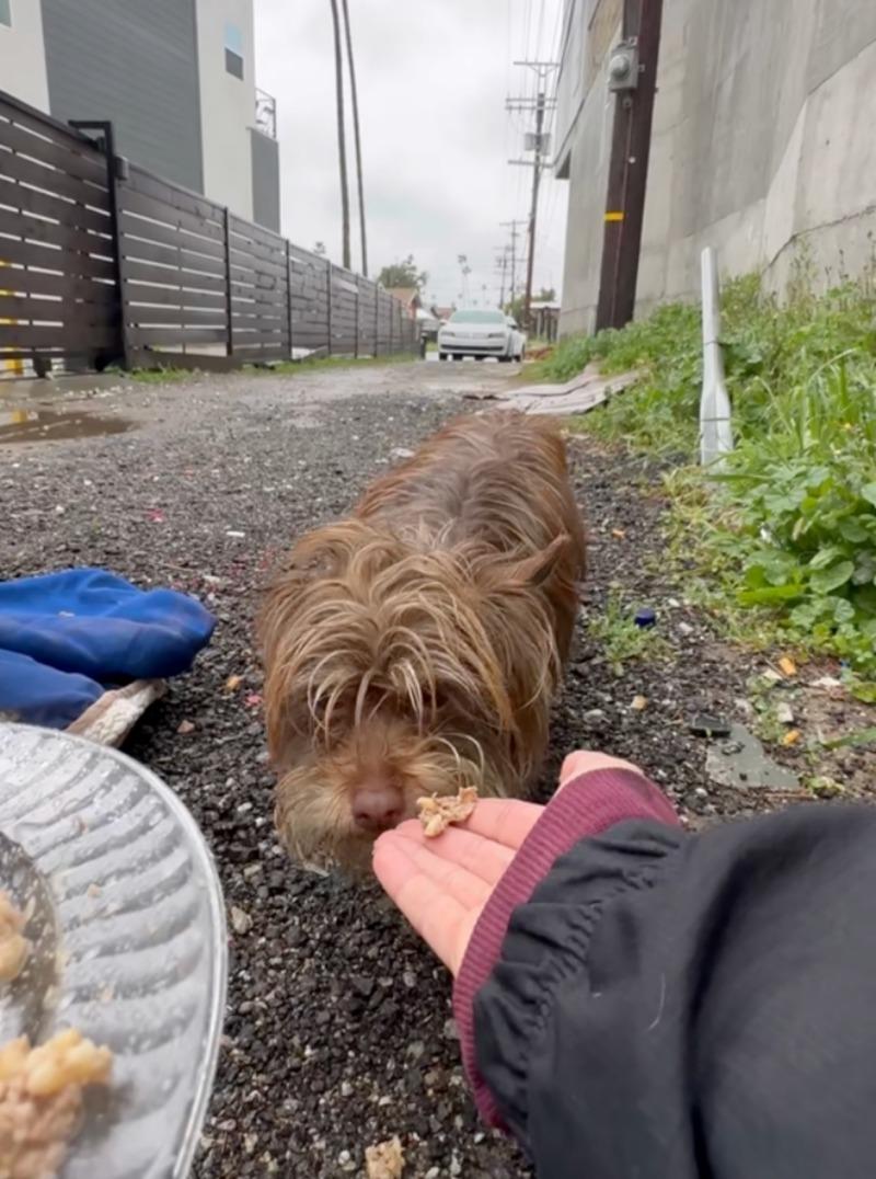 feeding hope in the street