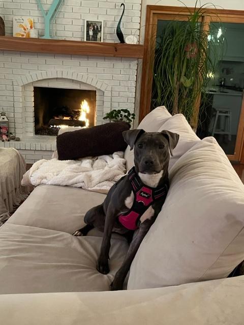 little toes at his new home on the couch