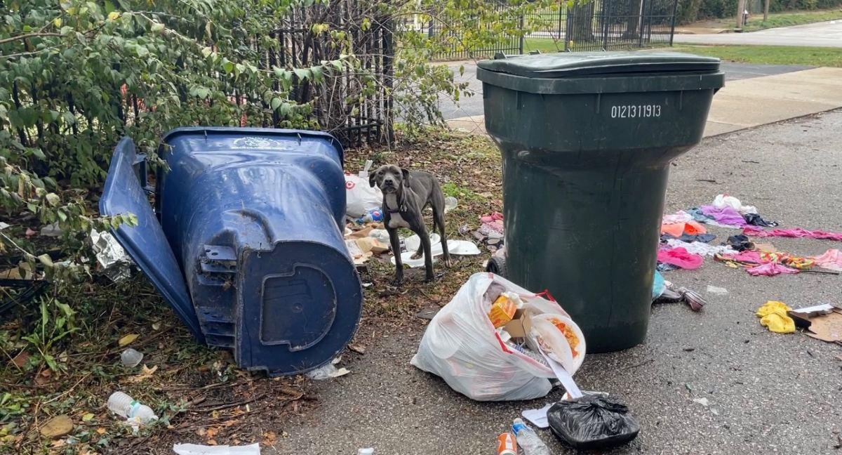 little toes standing in the middle of trash