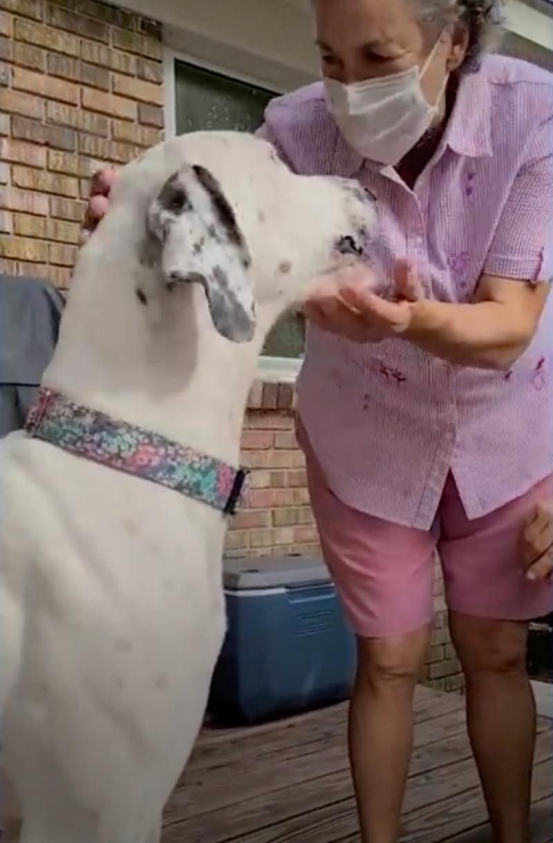 marshmallow with his new mom