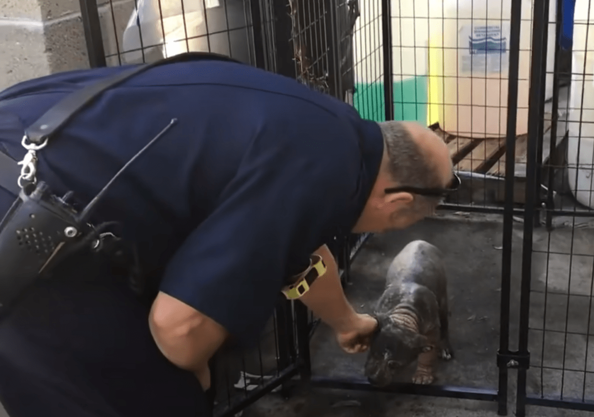 mike petting the rescue pup