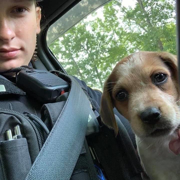 police officer with rescued pup