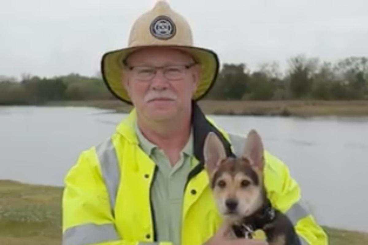 portrait of rocky and his rescuer