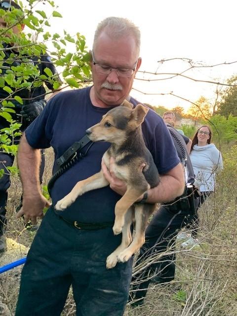 rocky with his new dad