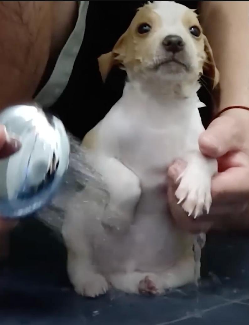 thunder being washed