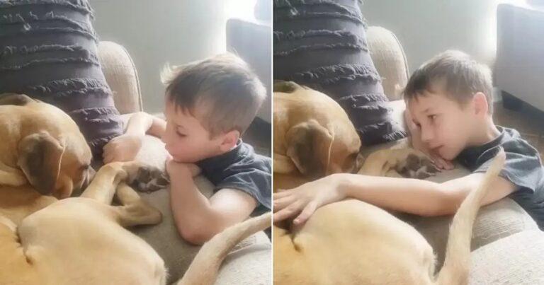 7-Year-Old Boy Comforts Traumatized Rescue Dog Reminding Him Hes Loved So Much