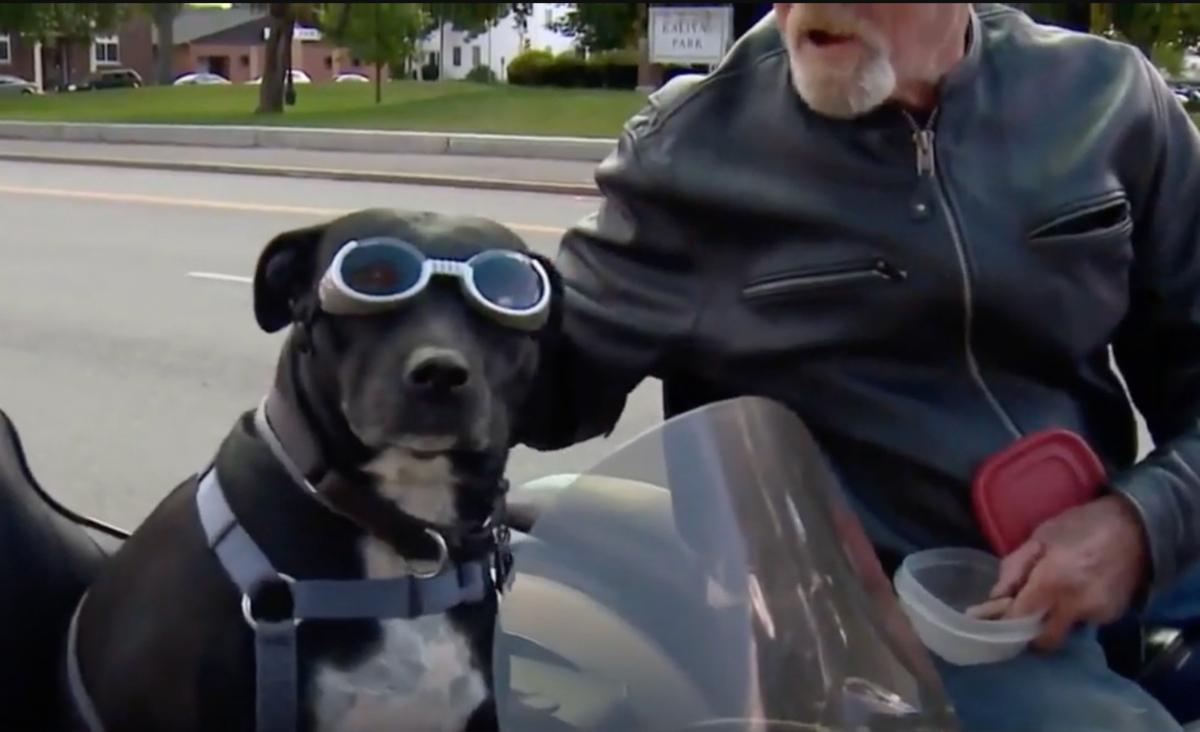 BB on her custom motorcycle sidecar