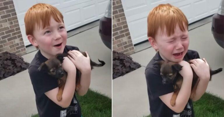 Boy Longing For A Dog Gets The Best Surprise From His Grandma