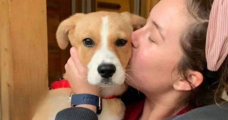 From Terrified to Thriving Shelter Puppy Finds Her Happily-Ever-After