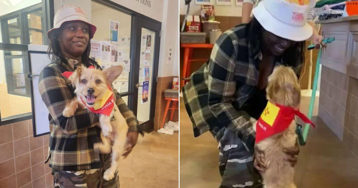 Owner Crosses Country To Reunite With Her Dog After 17 Days Missing