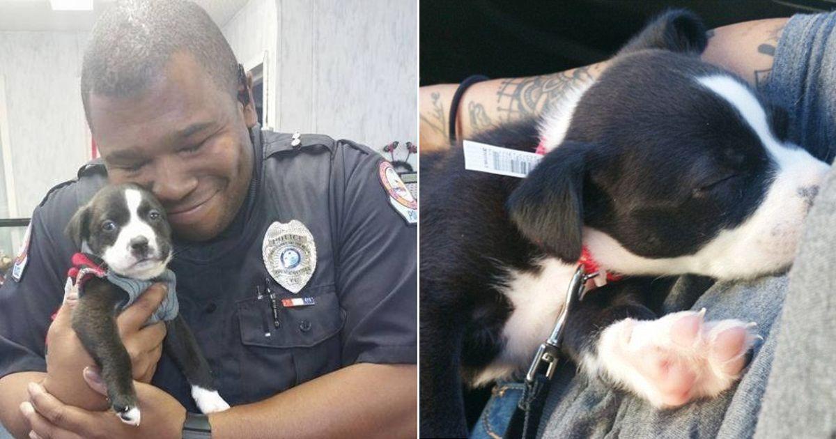 Police Officer Answers Call At Animal Shelter And Adopts The Cutest Pup