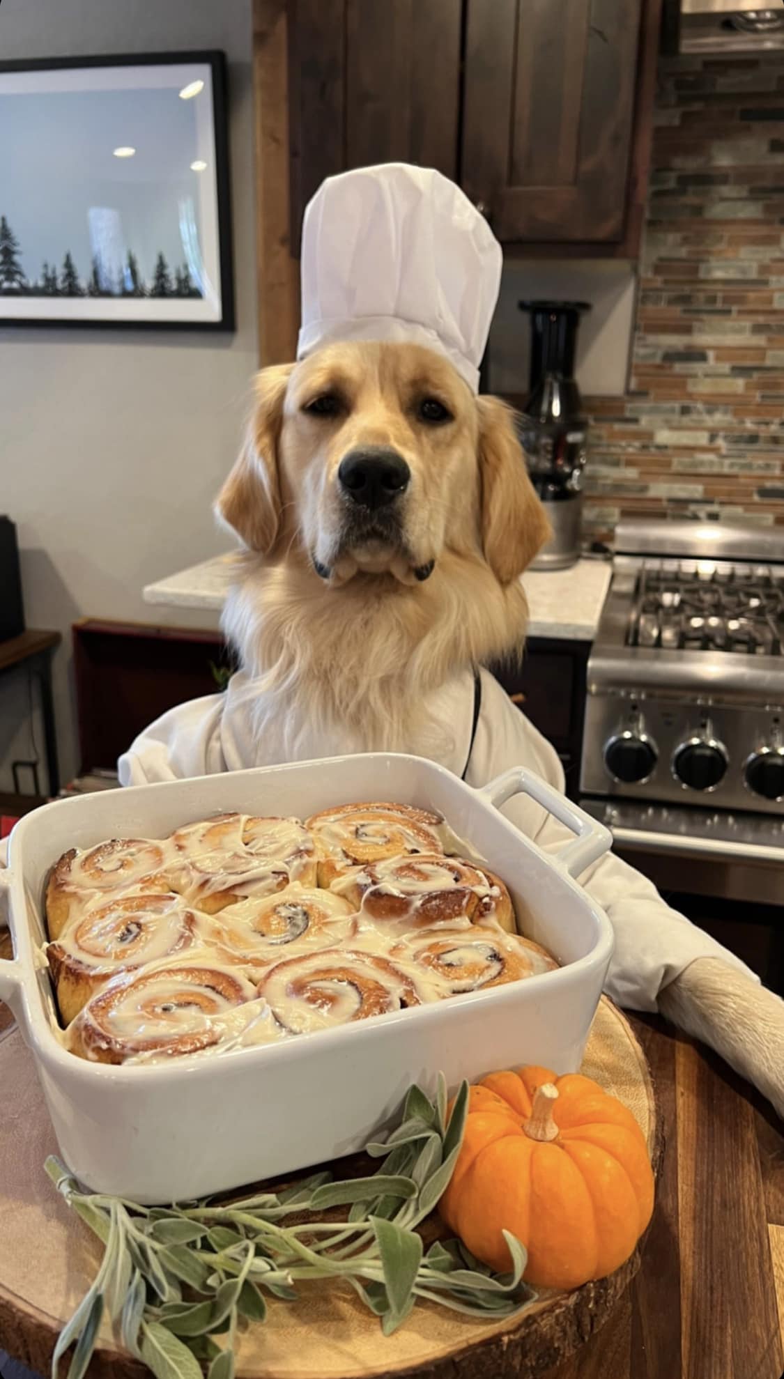 chef badger with cinamon rolls