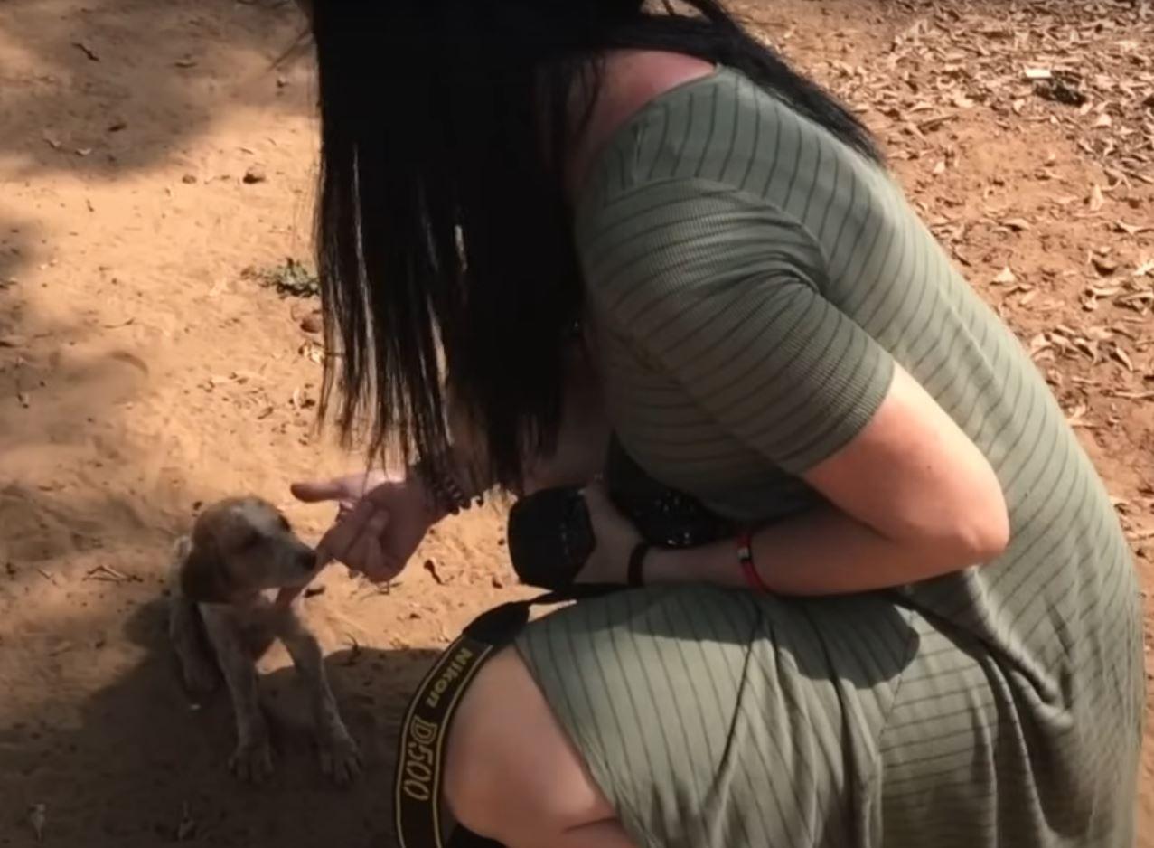 cute puppy getting rescued