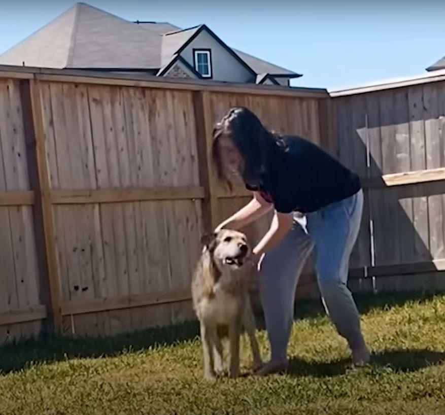 dog and young girl