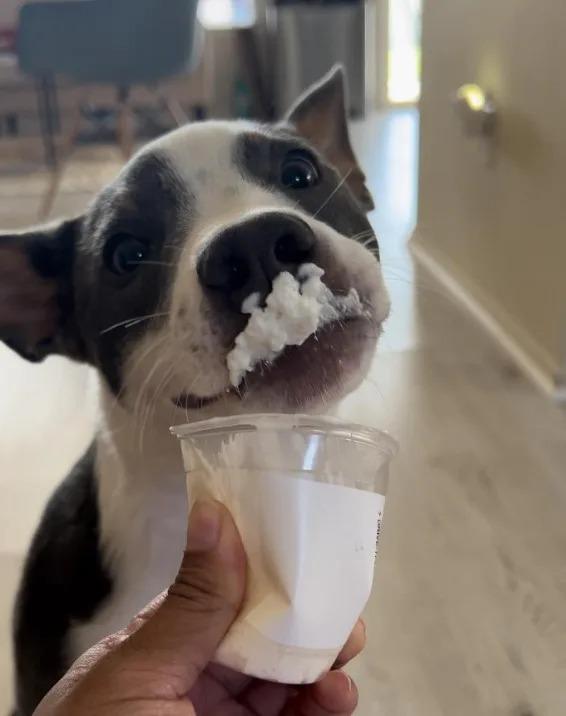 ellie eating ice cream